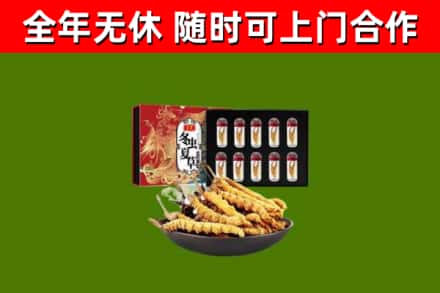 新昌烟酒回收冬虫夏草礼盒.jpg